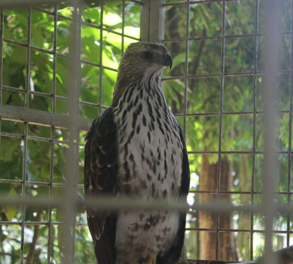 IMG_2443 IMG_2443